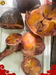 cá chiên sông mekong