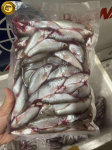 cá dúi trứng đặc sản tây bắc