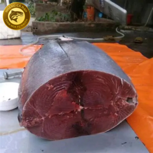 cá ngừ đại dương