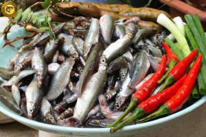 cá linh non miền tây