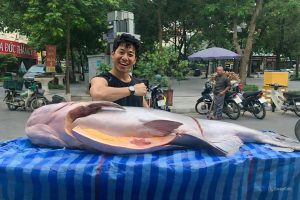 thủy quái sông mekong - cá tra dầu