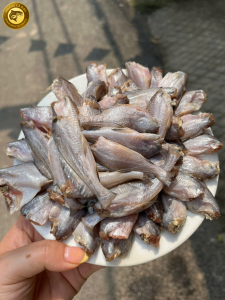 cá chốt giấy hoàng cá dạo