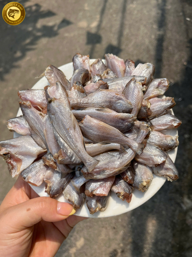 cá chốt giấy hoàng cá dạo