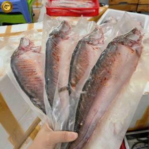 thác lác rút xương hoàng cá dạo