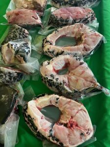 hoàng cá dạo chuyên cá hô size 10-30kg