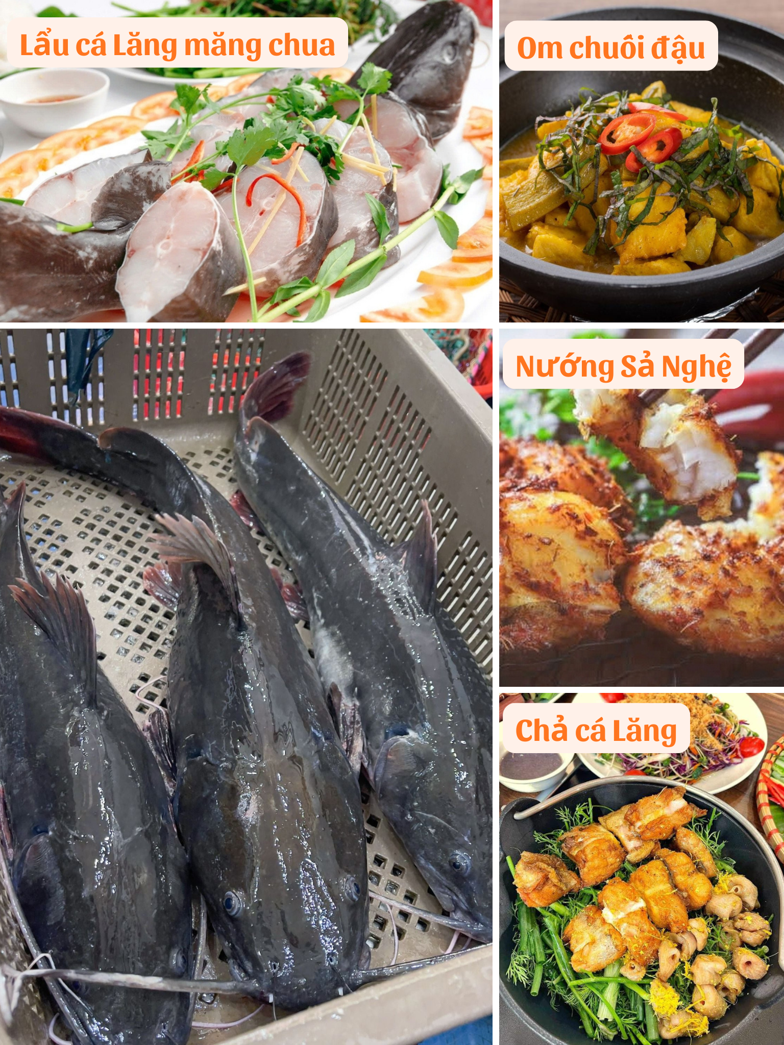 Chả cá Lăng